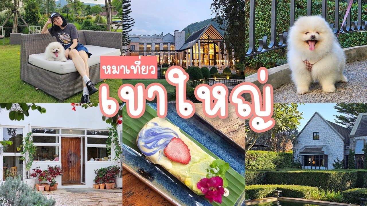 พาหมาเที่ยวเขาใหญ่ อัพเดท 2025 คาเฟ่ ร้านอาหาร นอนเทมส์ วัลลีย์ เขาใหญ่ || NonNunNee :: โน่นนั่นนี่