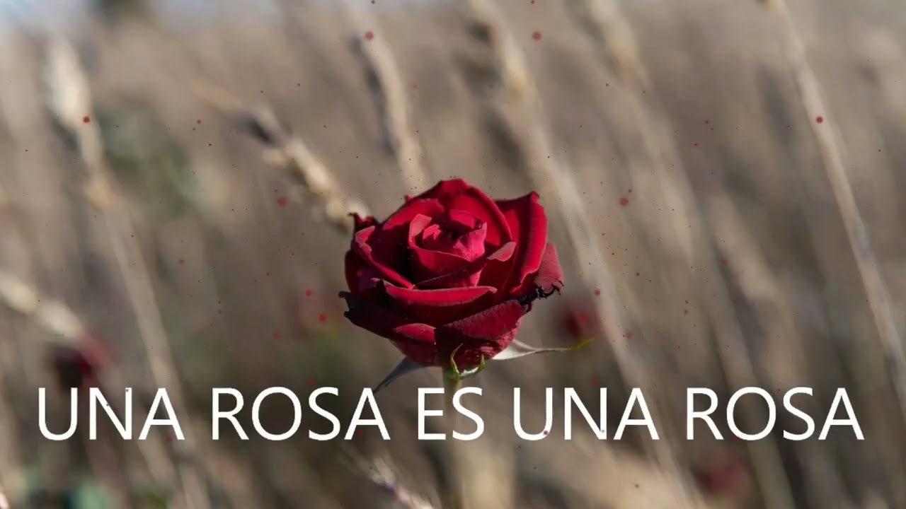 UNA ROSA , ES UNA ROSA -MECANO  (COVER) - (Afro House, tribal house, techno)
