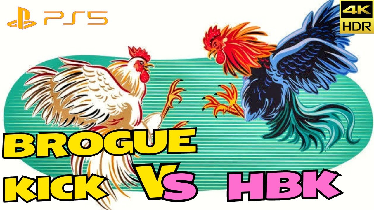 PRO PLAYER Chicken Fight: HBK vs Brogue Kick! PS5