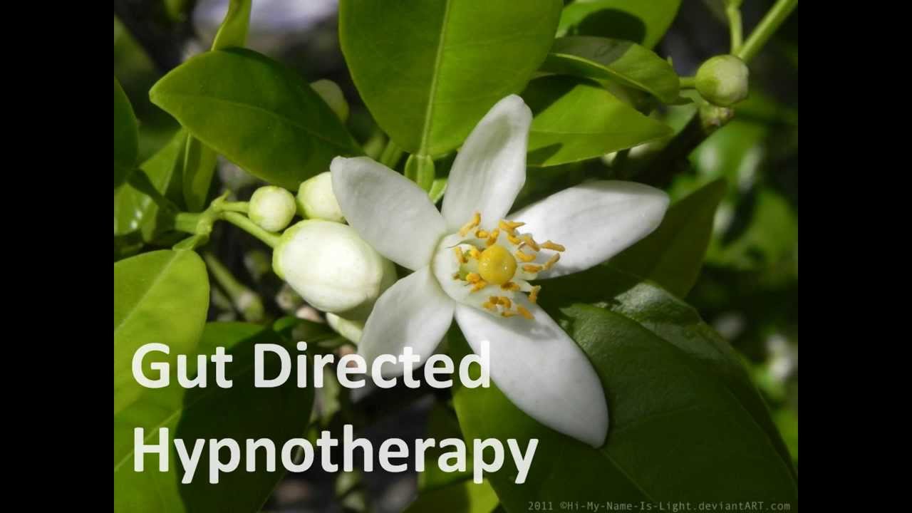 Gut Directed Hypnotherapy