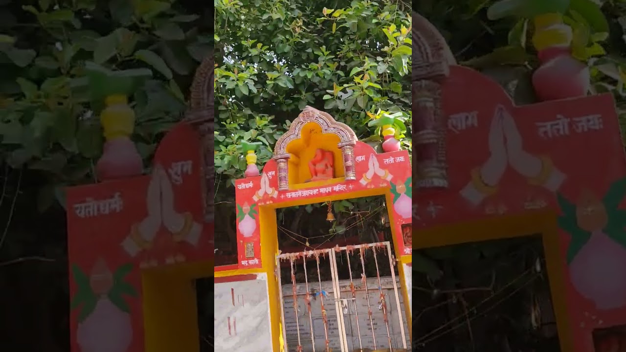 akshaywat | yugo yugo ka ped #vlog #tour #tourism