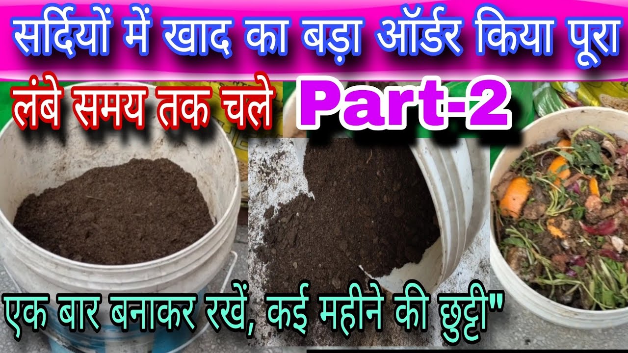 काला सोना' बनाओ जल्दी,कचरे में जाने वाले छिलकों से बनी खाद, ना आएगी बदबू..ना ही लगेंगे कीड़े l 