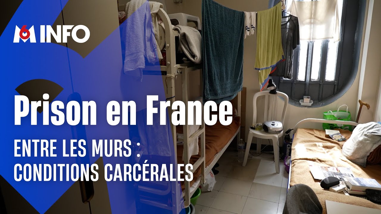 Surpopulation carc&eacute;rale : la France point&eacute;e du doigt