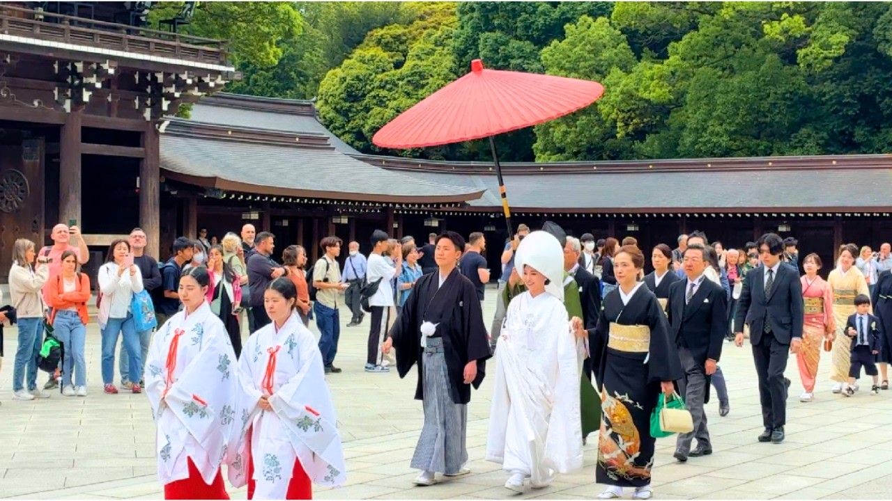 外国人も言葉を失う静寂と感動の神前式。日本文化が詰まった美しすぎる結婚の儀式を、あなたの目で確かめてください！