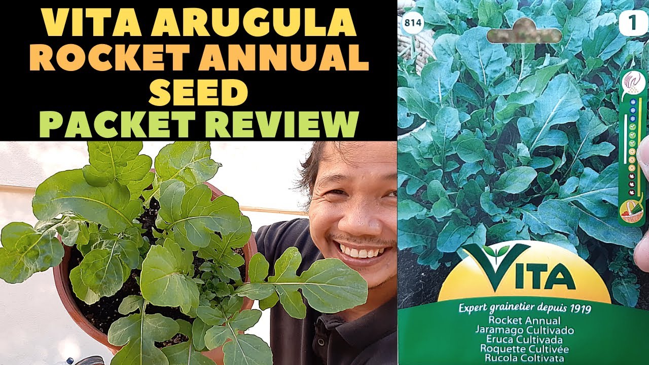 🔴 HOW TO GROW ARUGULA ROCKET ANNUAL FROM SEED | VITA ROCKET ANNUAL SEED PACKET REVIEW
