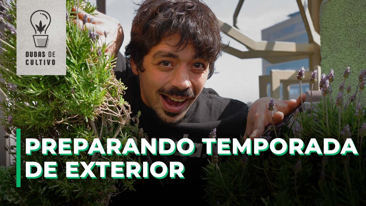 COMENZÓ EL CULTIVO EXTERIOR