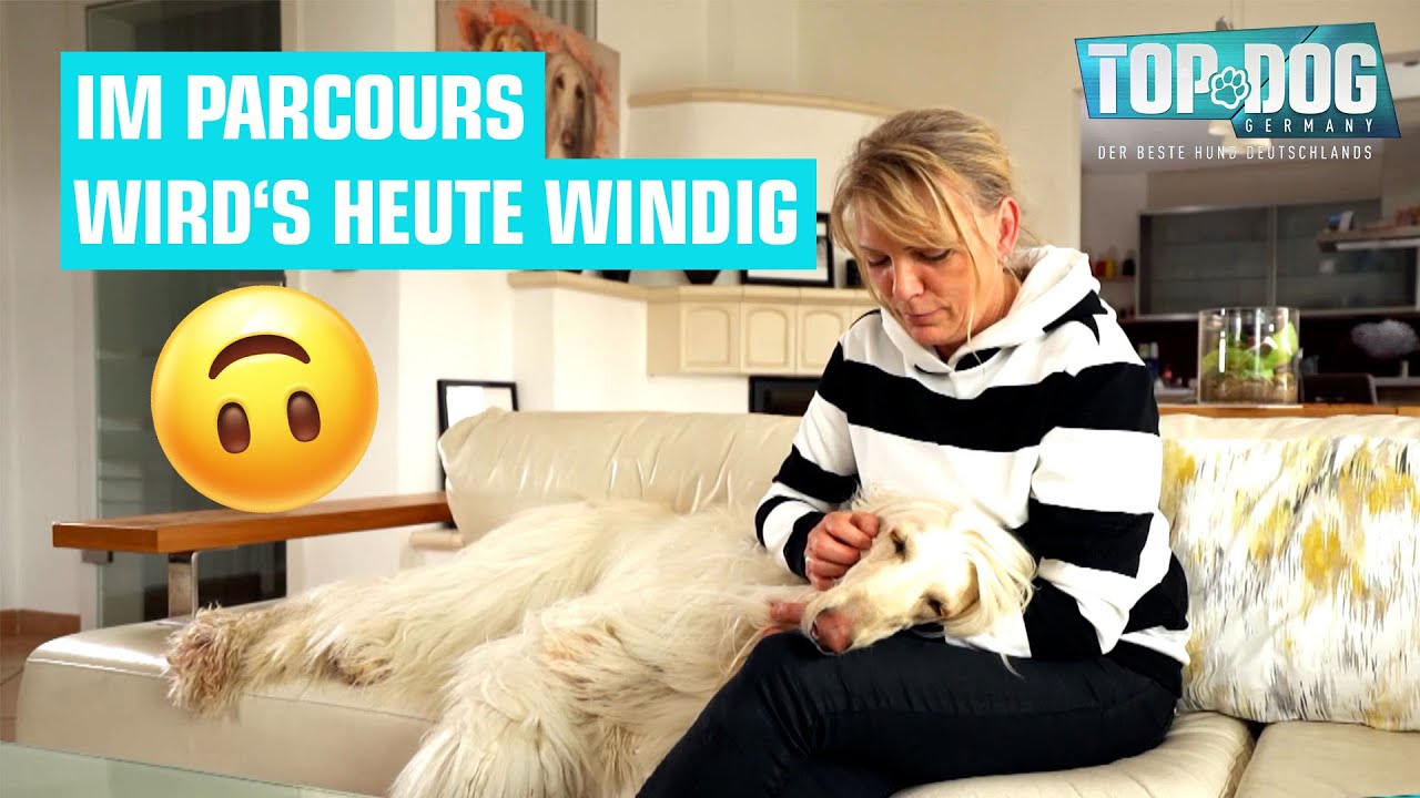 Sylvia mit Windhund Cecano im Parcours 🥰🐶 | Top Dog Germany 2022