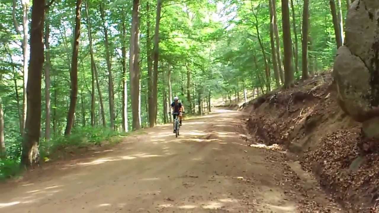 ARBUCIES - SANTA FE DEL MONTSENY