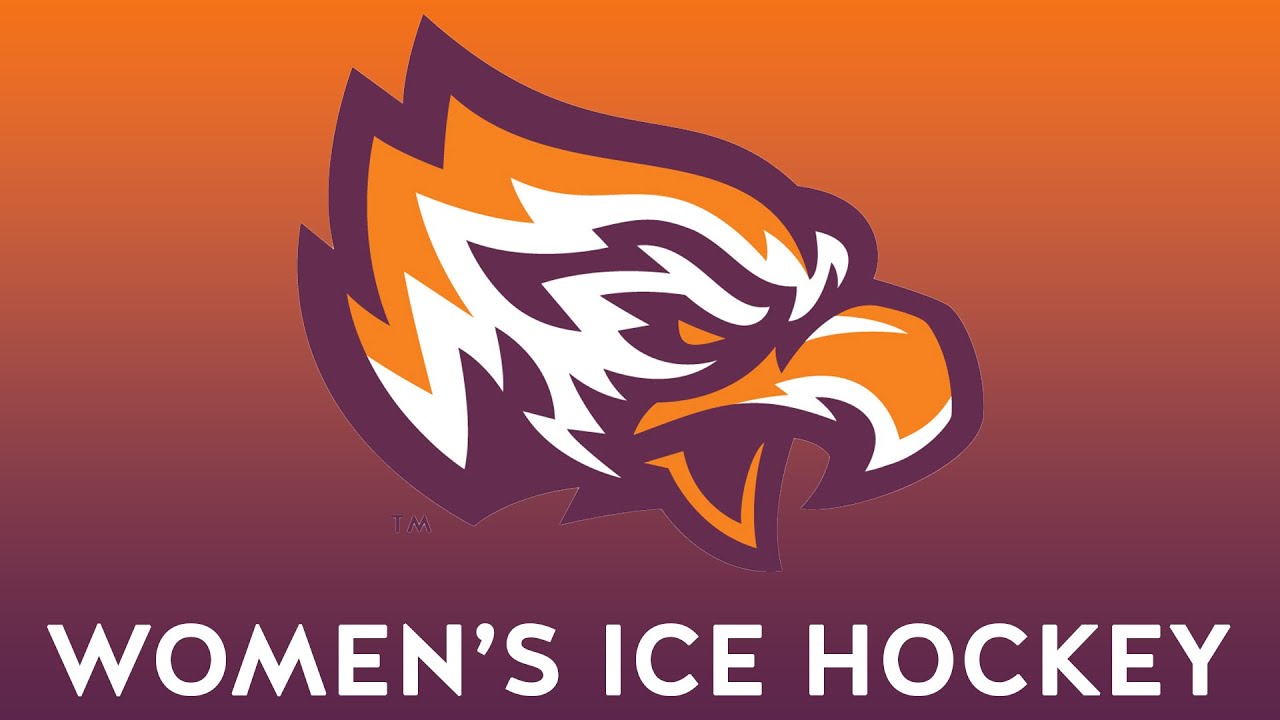 Women's Ice Hockey vs. Stonehill College (2/14/26)