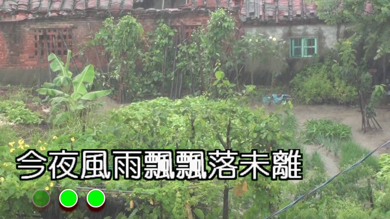 小雨伴奏曲