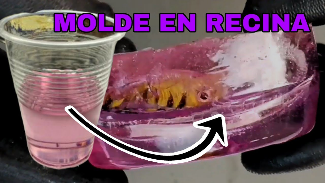 COMO CLONAR SEÑUELOS EN CASA CON MOLDE DE RECINA