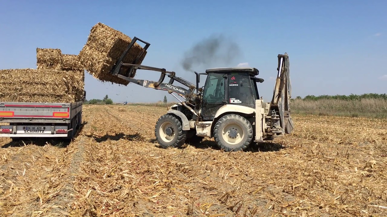 ADANA'DA 44 TON MISIR BALYASI TOPLAMA NASIL YAPILIR ? GELİN ARACI TIR GELDİ.