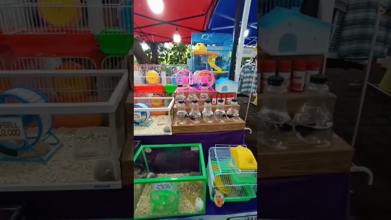 uwaw ketemu dagang hamster 😍