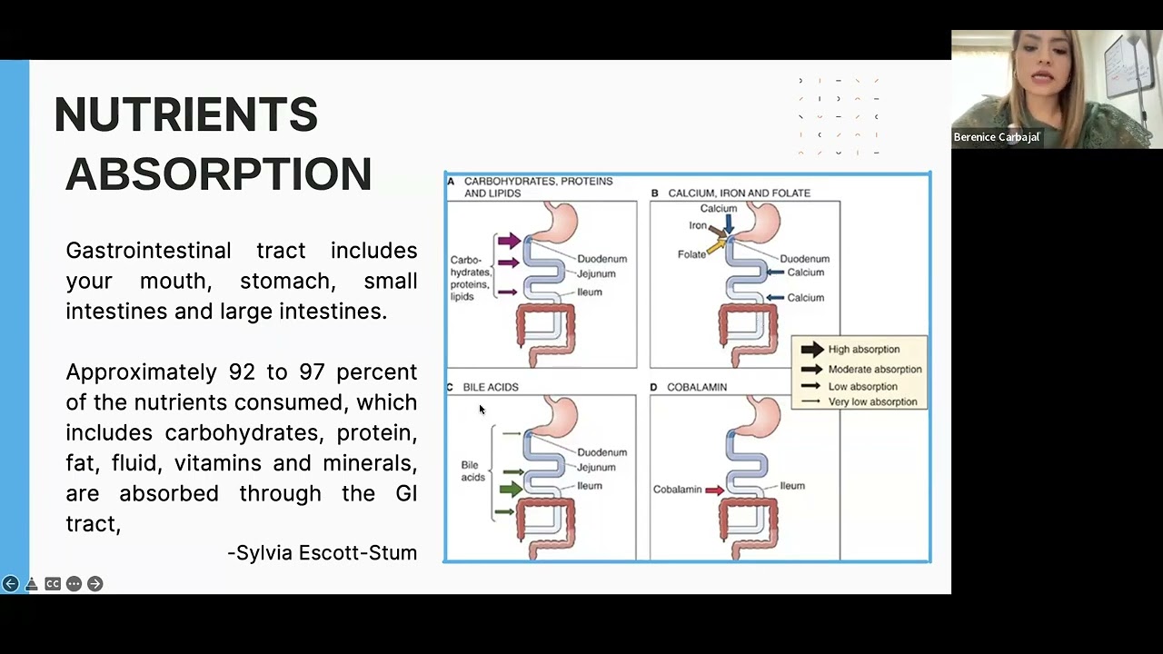 Effects of Nutrition and the Gut Microbiome in GIST Patients