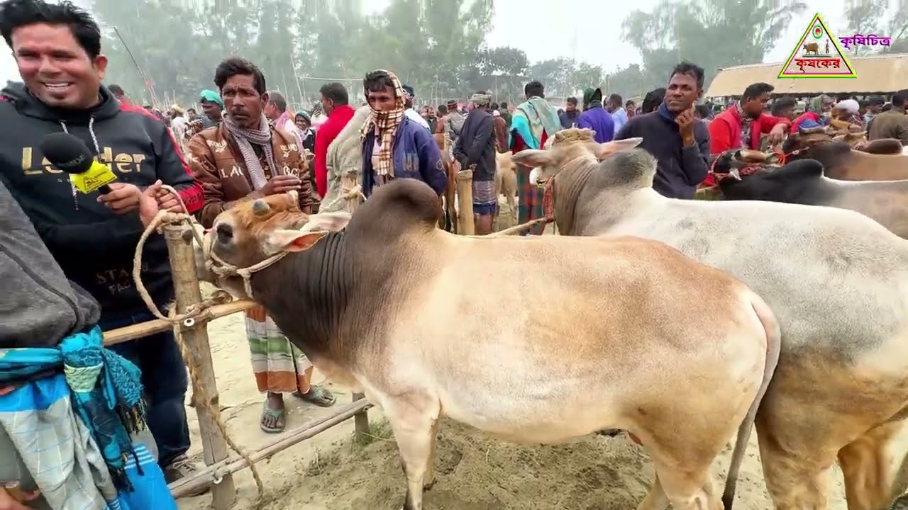 @আজ ৪ জানুয়ারি ২০২৬