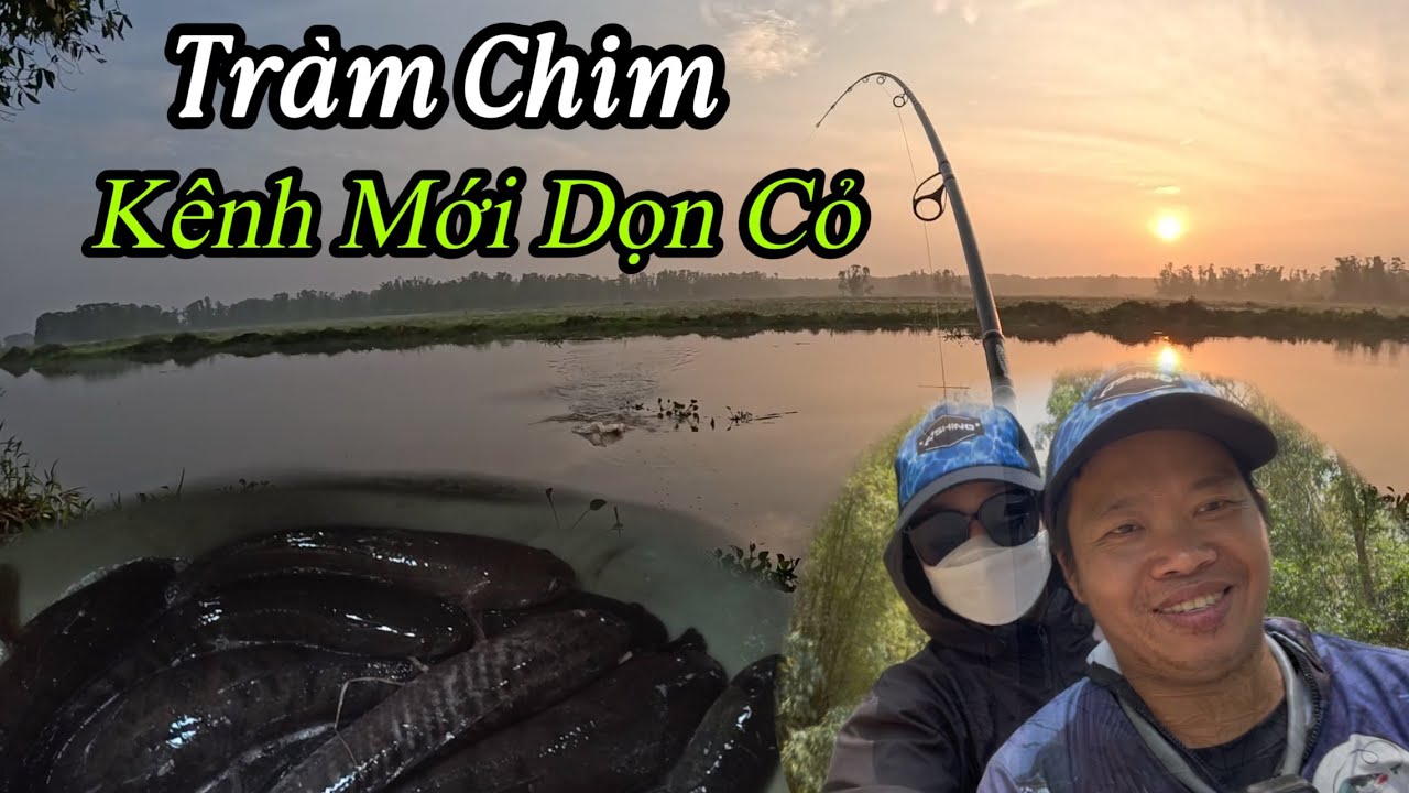 2 vợ chồng Law Dìn đi Vườn Quốc Gia Tràm Chim câu cá lóc 