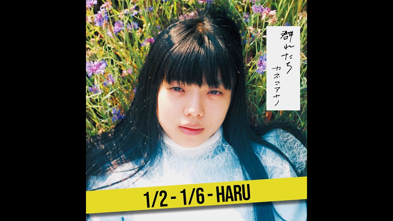 HARU - Kaneko Ayano カネコアヤノ - Muretachi