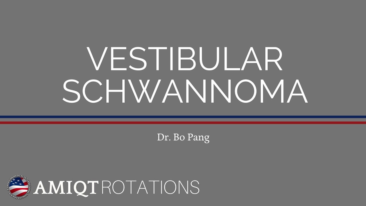 Dr Bo Pang Vestibular Schwannoma