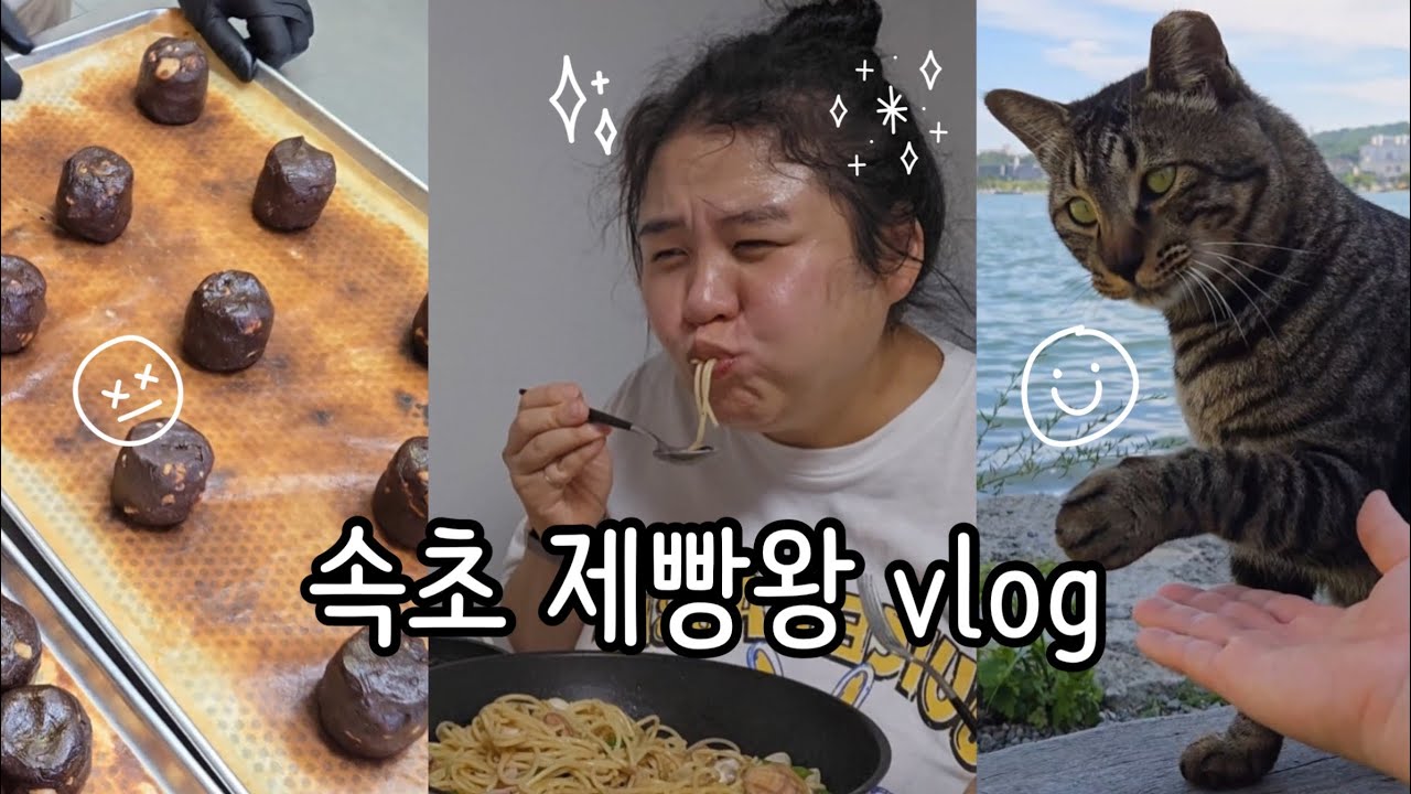 꼬실이 생존신고 😘 | 속초에서 여름나기