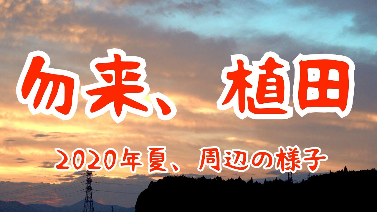 福島県いわき市【帰省できなかった人、以前住んでいた人】へ