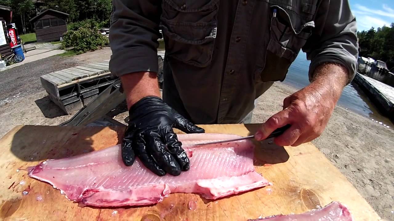 Smith Camps Whitefish Cleaning Demonstration