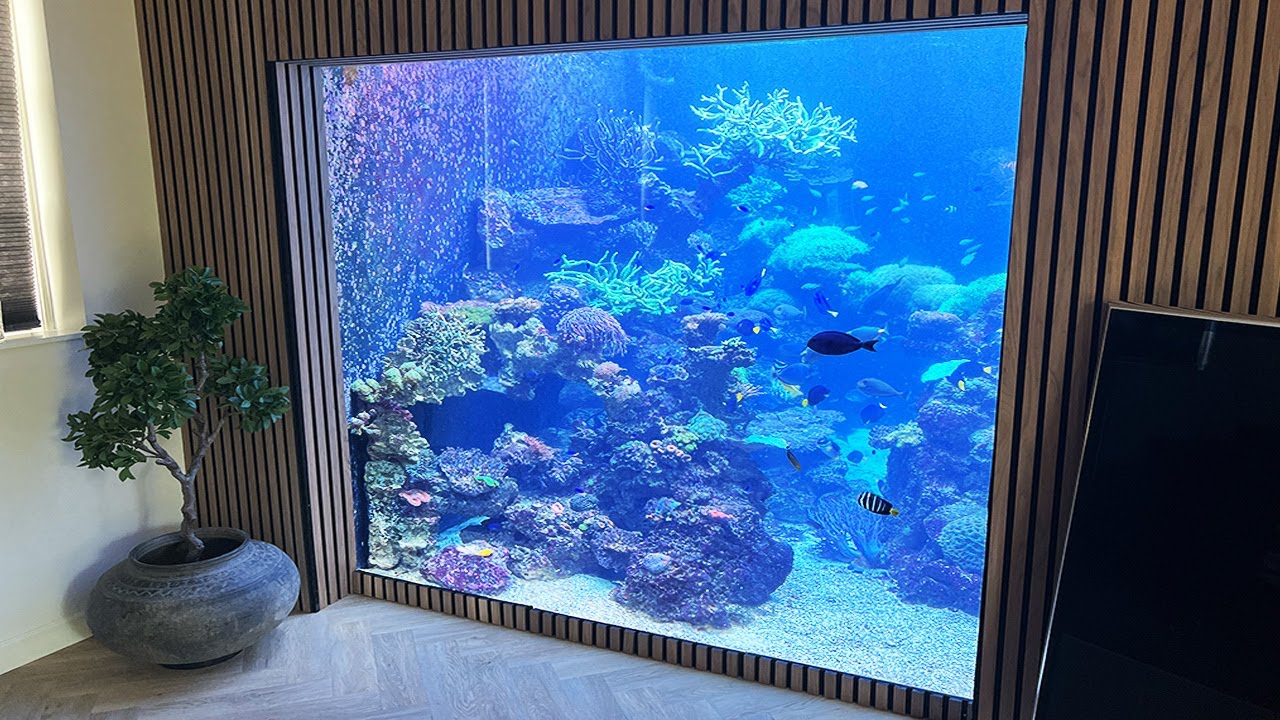 32,000 Liter REEF TANK from Daniel Fossum - Reef Relax 4K