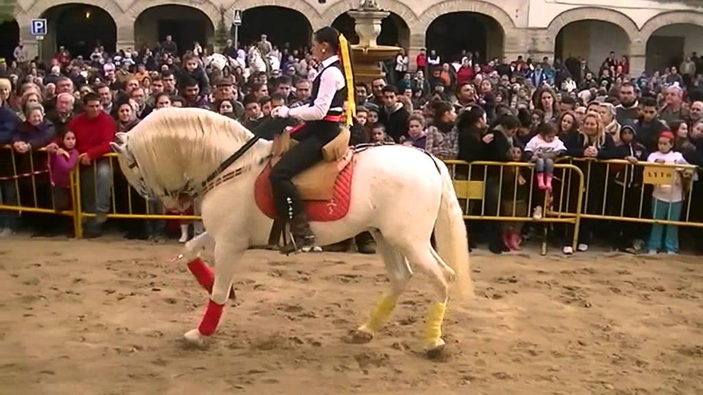 SAN ANTON 2013 /VUELTA DE ANIMALES