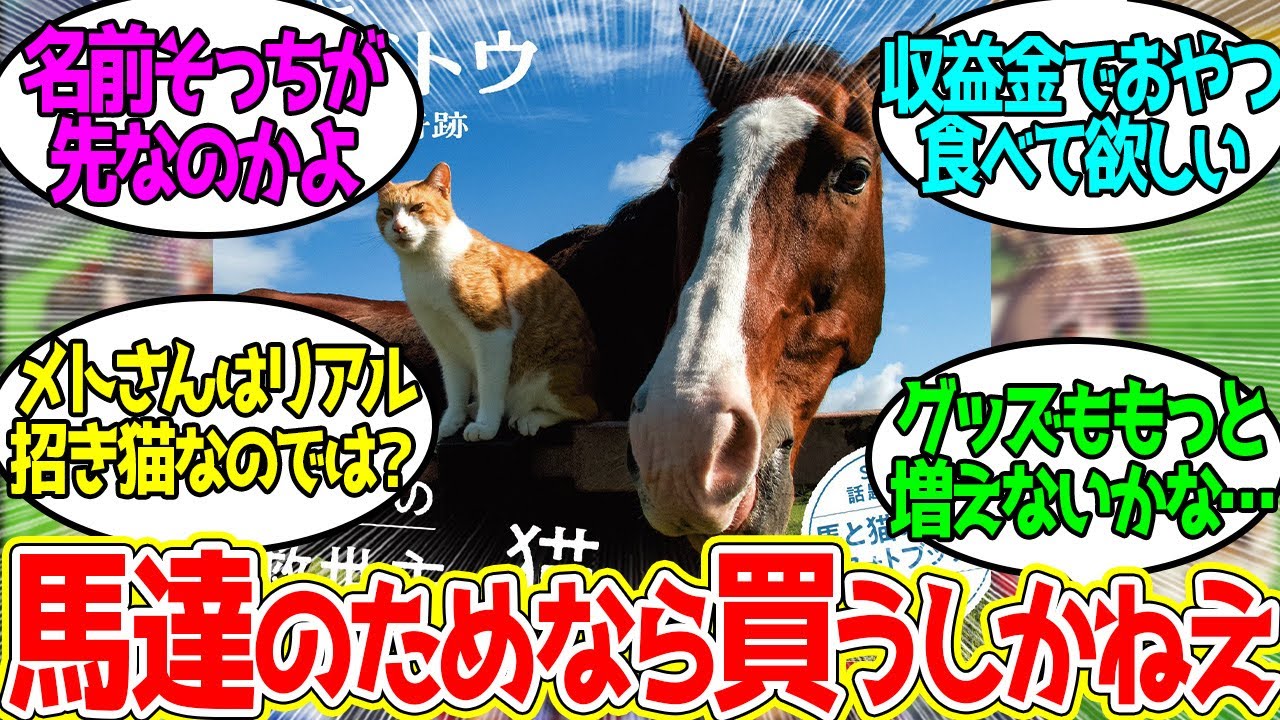 最近アイドルホースの話題を営業部長に取られがちだったので…に対するみんなの反応！【競馬 の反応集】