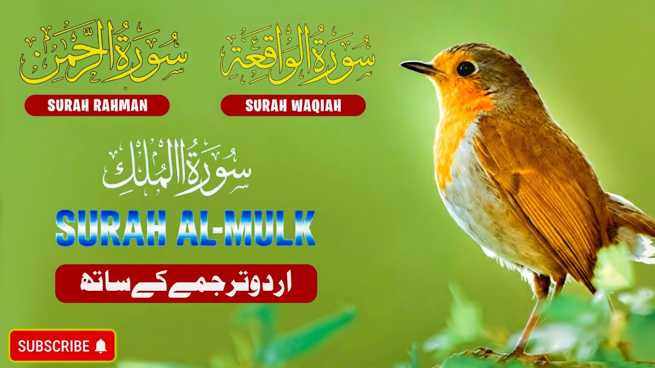 Surah Ar-Rahman, Surah Al-Waqiah & Surah Al-Mulk | 3 in 1 Beautiful Quran Tilawat  Urdu Translation