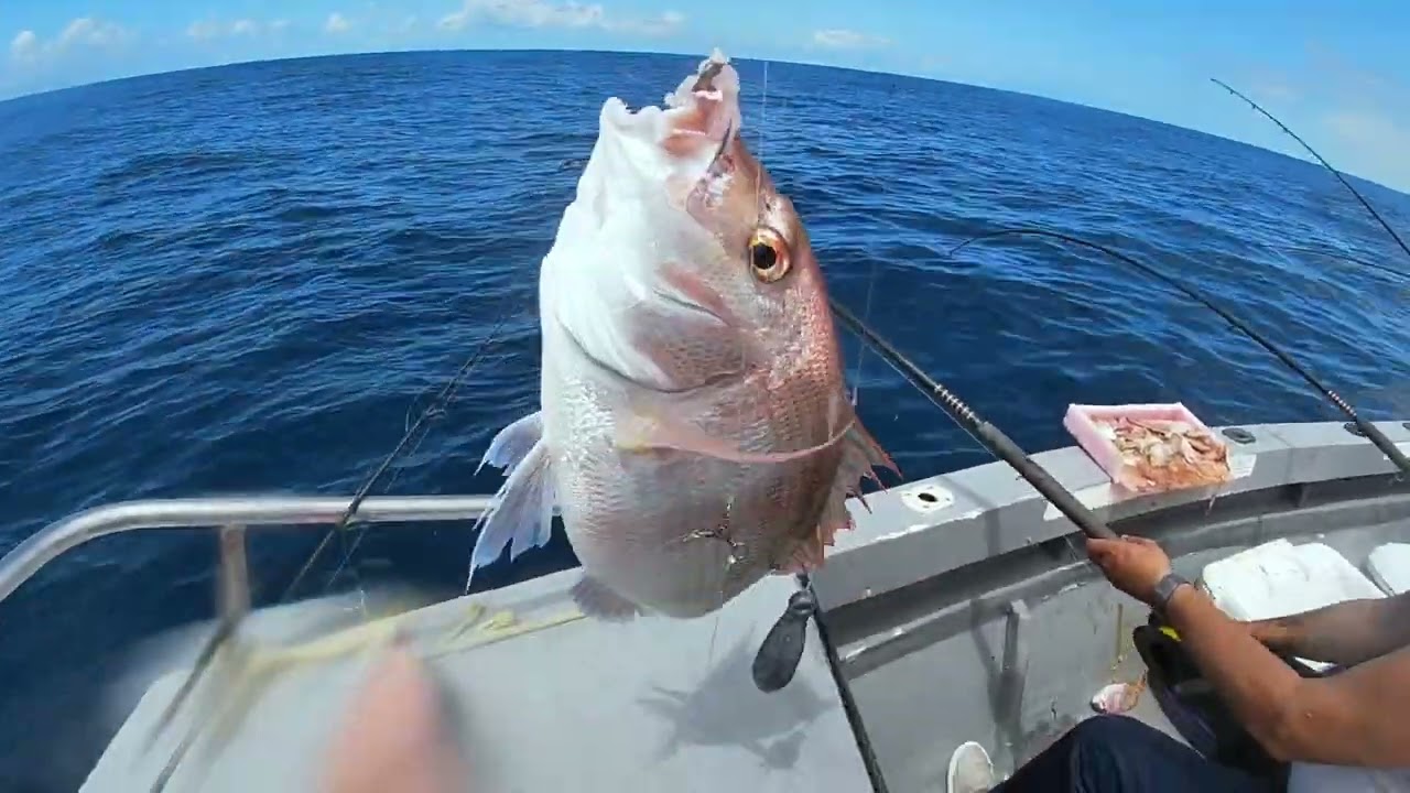 Slow Pitch Jigging with Daiwa BG MQ H-ARK