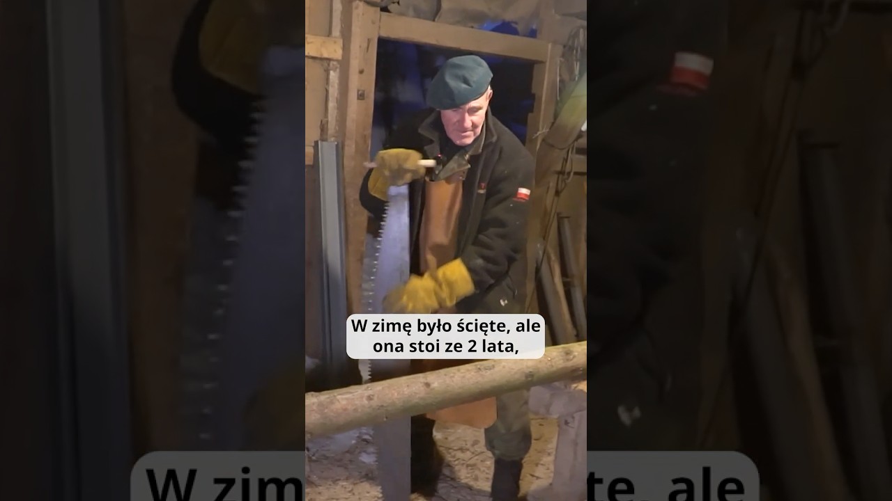 Świerk dzwoni i piła dzwoni!