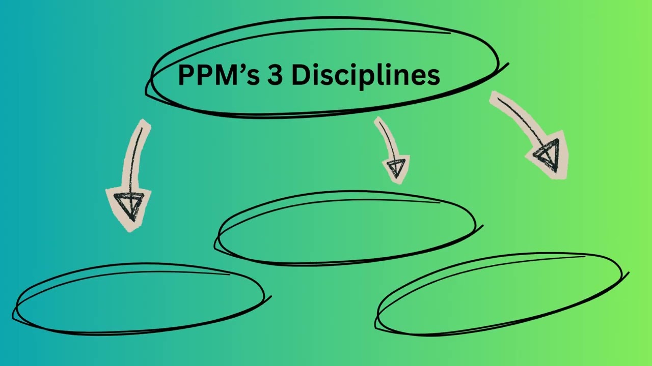 PROJECT PORTFOLIO MANAGEMENT
