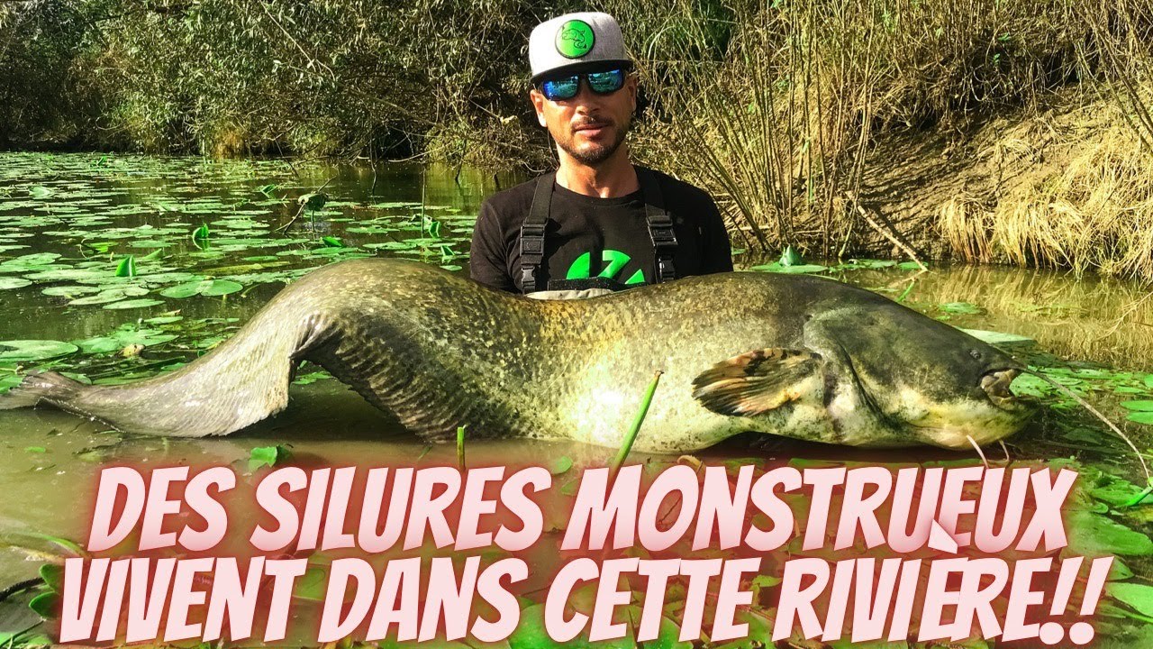 À la recherche des plus vieux SILURES de France!!