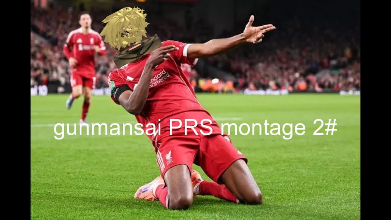 gunmansai PRS montage 2#