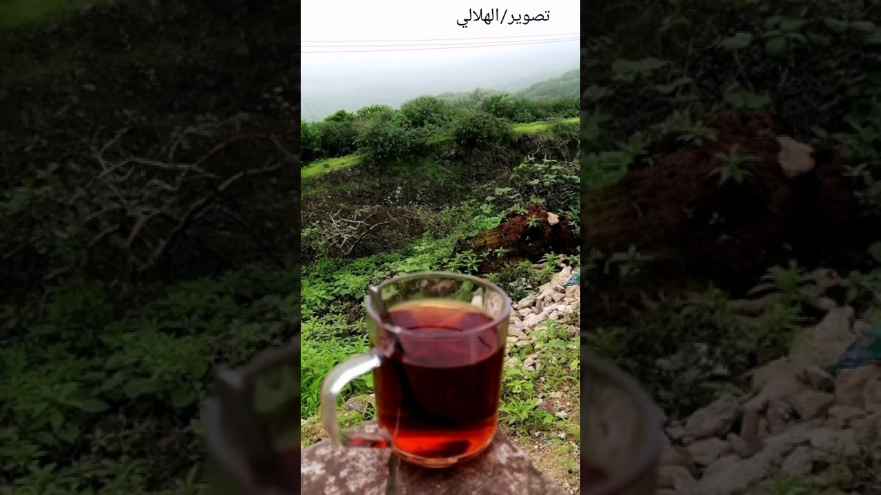 ١١ أغسطس، ٢٠٢٢
