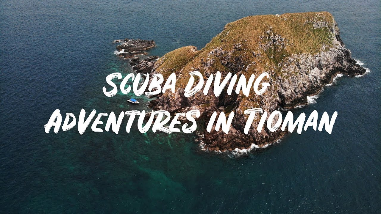 Scuba Diving Adventures in Tioman Island in 4K!