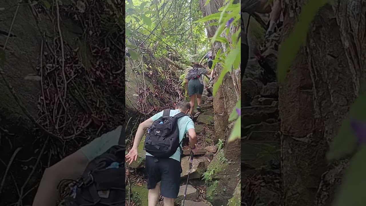 hiking in Phu Quoc #hikingphuquoc
