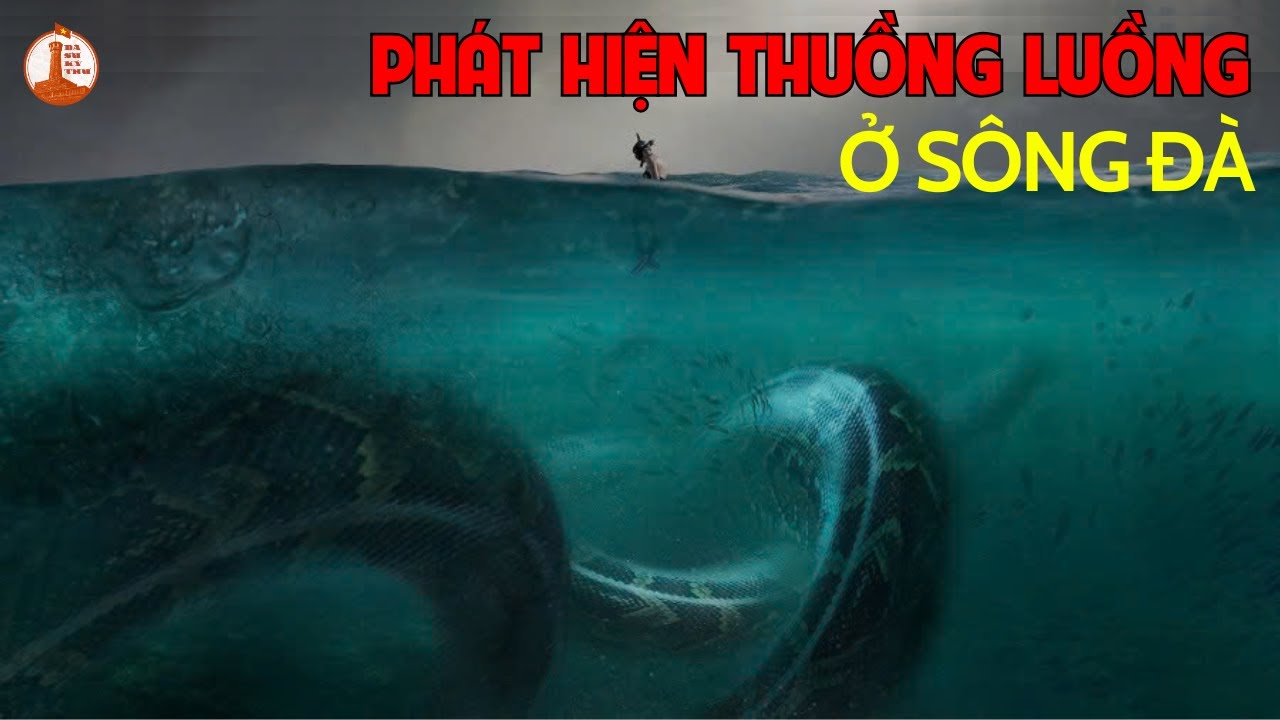 Thuồng Luồng Có Thật? Nhân Chứng Tại Thủy Điện Hòa Bình Nói Gì?