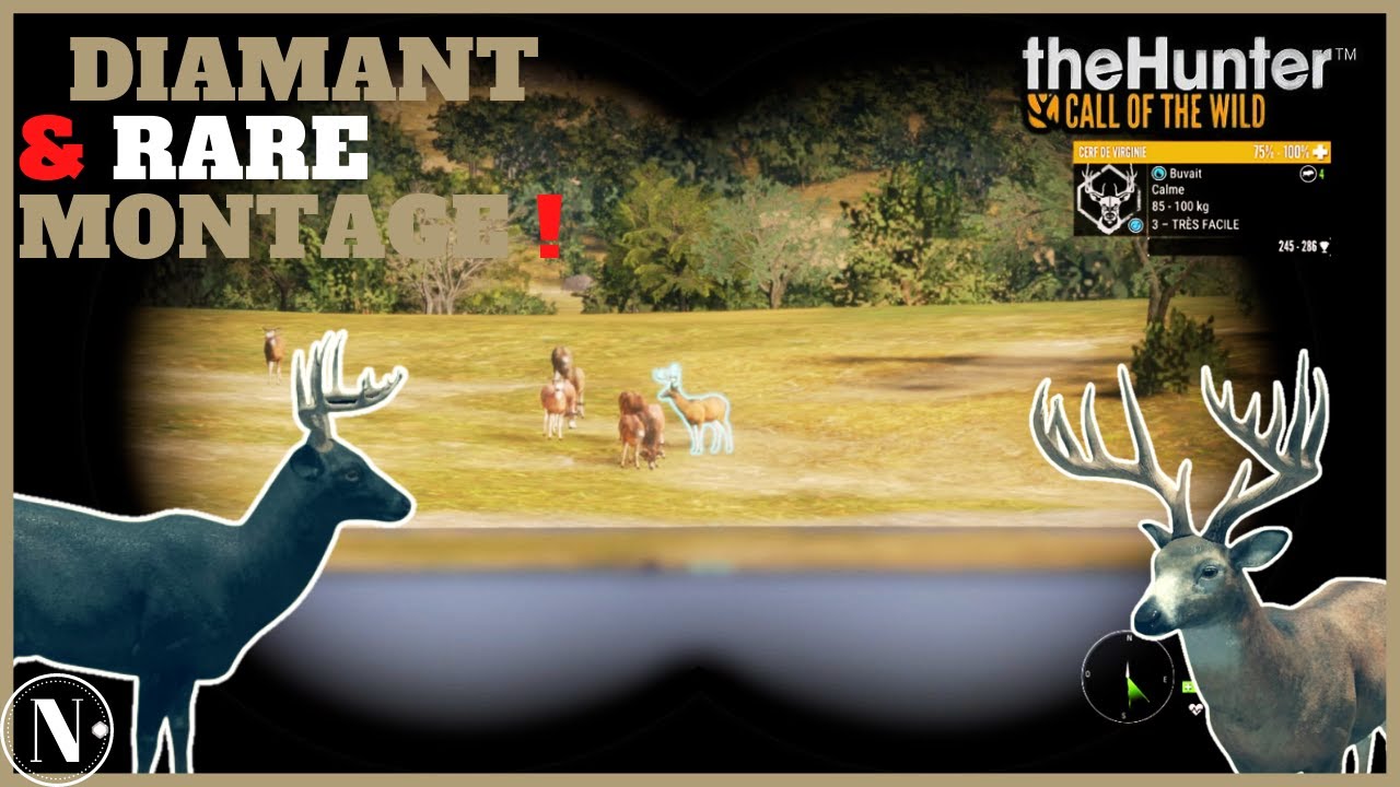 Diamant & Rare Compilation Great one Grind Rancho Del Arroyo | The hunter: call of the wild Fr / N°1