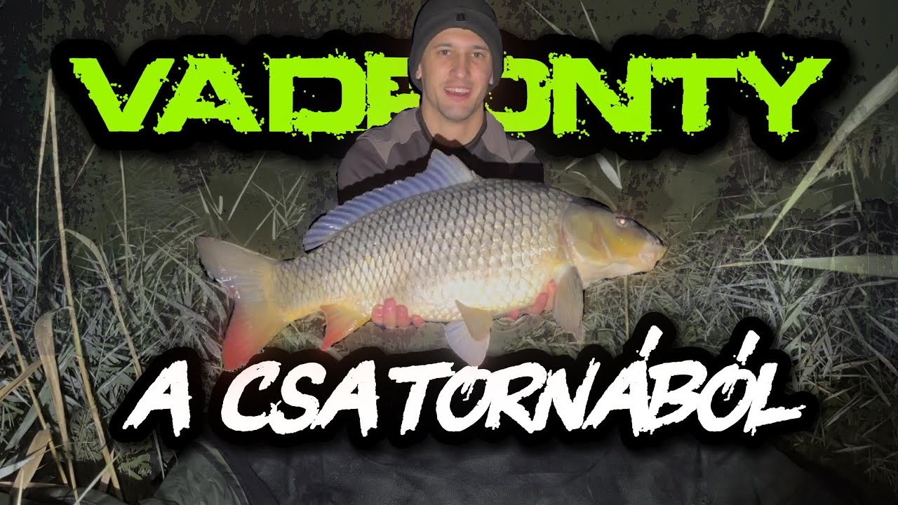 Csatorna horgászat REKORD! Így fogtam a 10 kilós pontyot 🔟+🐟