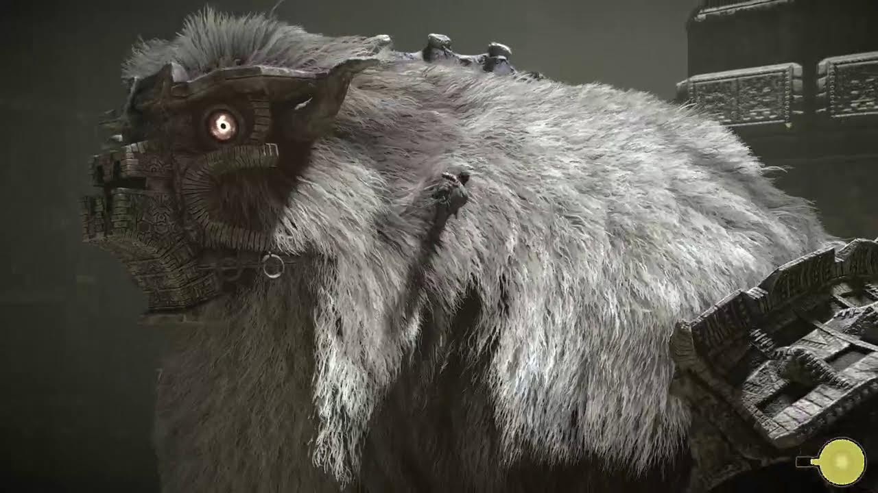 Belated Birthday Stream: Animation + Shadow Of The Colossus