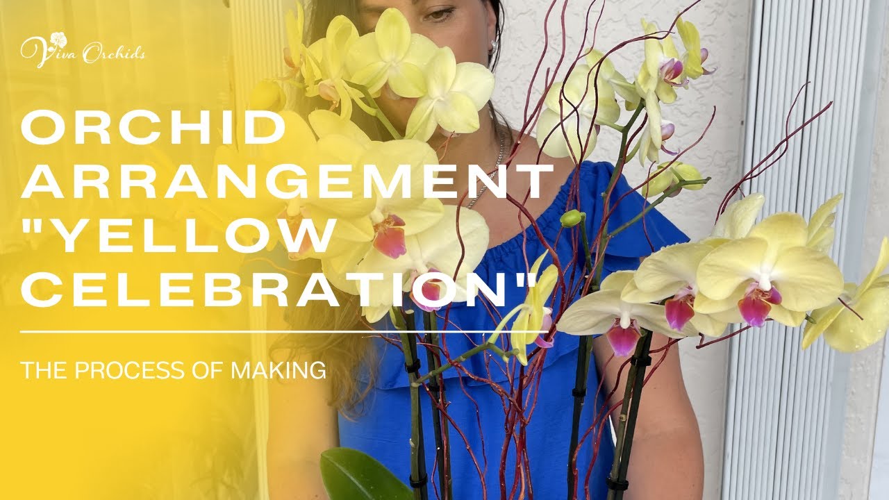 The Process of Creating an Orchid Arrangement 