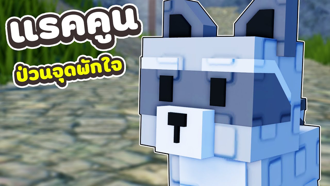 แต่งเป็น แรคคูน ไปแกล้งผู้เล่นในจุดพักใจ 🦝 | Roblox แกล้งคน