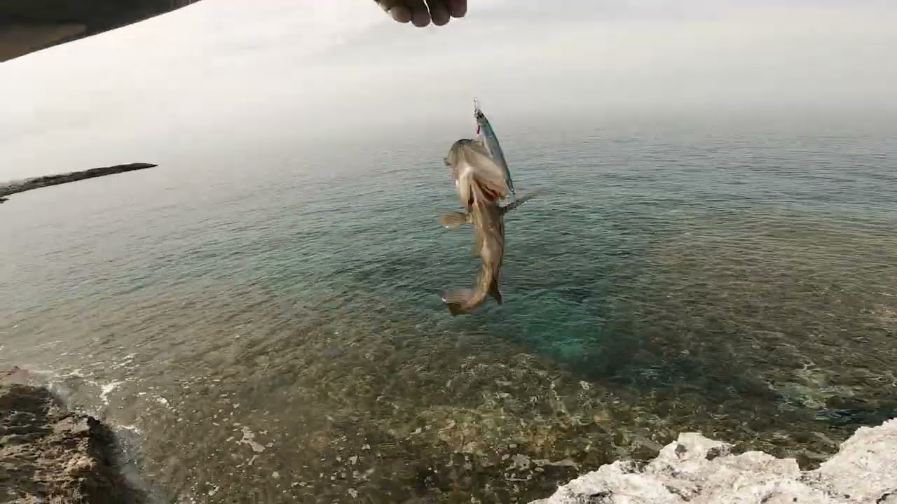 Akamas Peninsula Cyprus Rock Fishing Spinning Jigging / Grouper