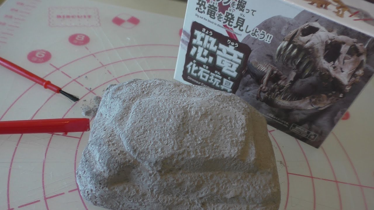 Japanese craft kits: Daiso Fossil Toy (DINOSAUR excavation team) part 2