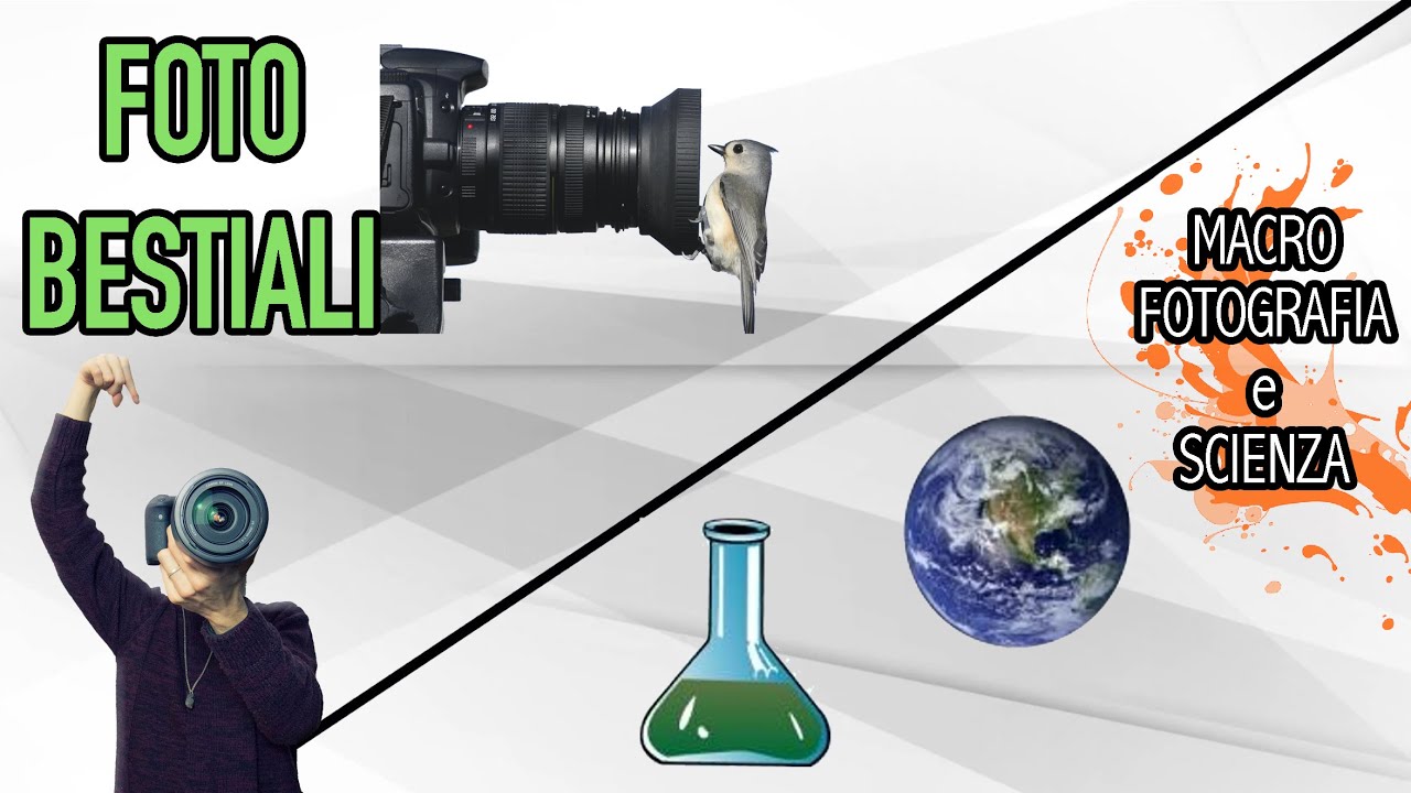FOTO BESTIALI • MACRO FOTOGRAFIA e SCIENZA