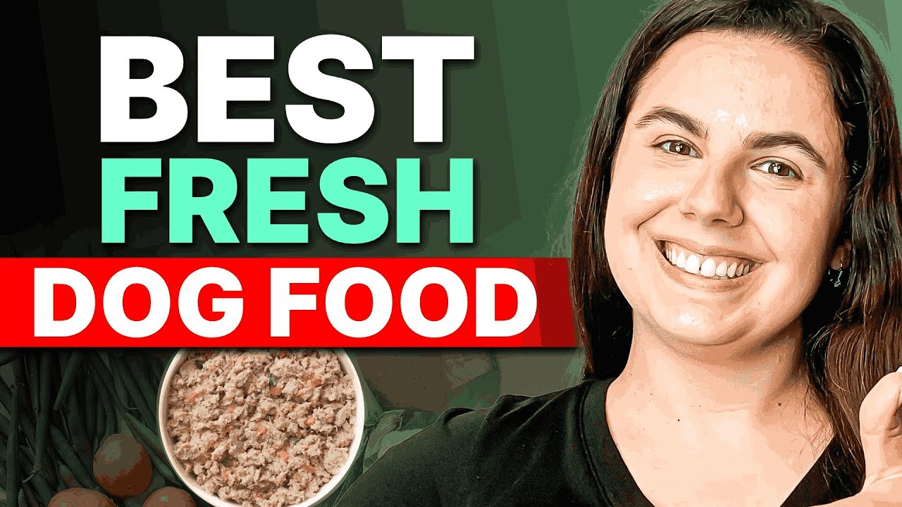 Best Fresh Dog Food Delivery Services: Brutally Honest Review 2026
