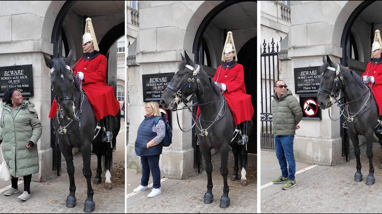Brilliant Guard reacted to rule-breaking tourists and REPRIMANDED THEM