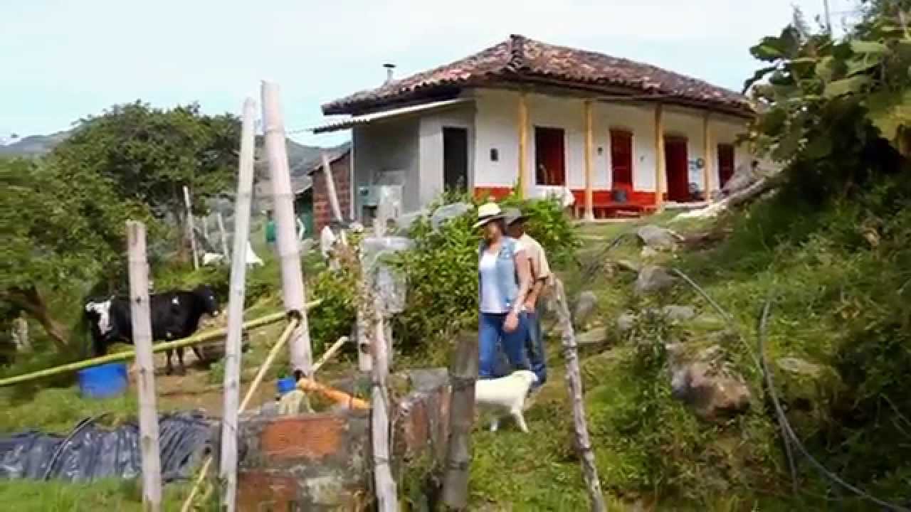 Don Fabio hizo de su finca su empresa. Escuela de campo (Capítulo completo)