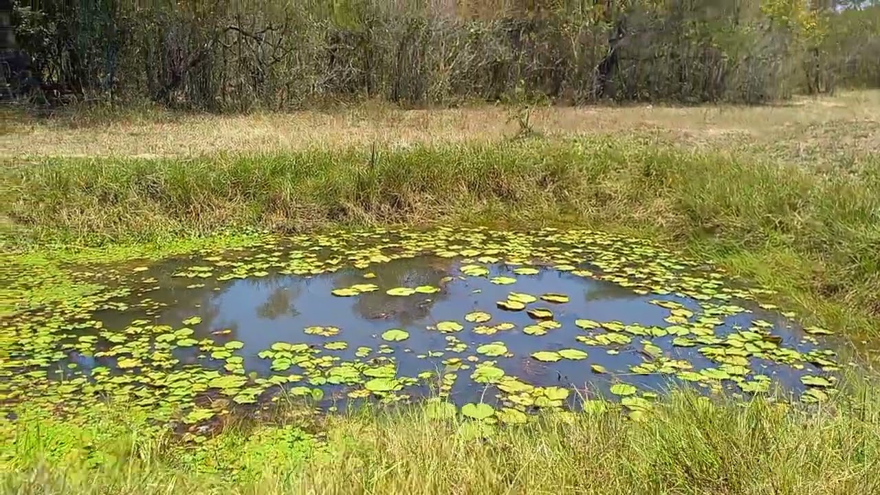 Hoje vamos mostrar como tá a Seca por aqui.
